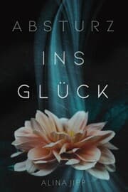 Cover von Absturz ins Glück