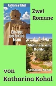 Cover von Ein fast perfektes Team - Mehr als ein Delikt