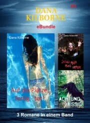Cover von Dana Kilborne ebundle 3