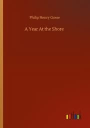 Cover von A Year At the Shore