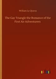 Cover von The Gay Triangle the Romance of the First Air Adventurers