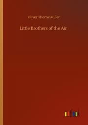 Cover von Little Brothers of the Air