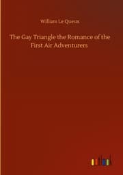 Cover von The Gay Triangle the Romance of the First Air Adventurers