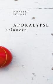 Cover von Apokalypse erinnern