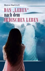 Cover von Das 'Leben' nach dem irdischen Leben