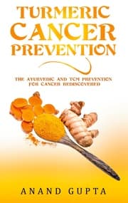 Cover von Turmeric Cancer Prevention