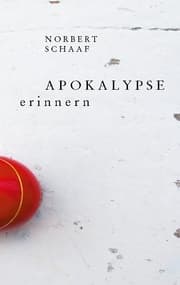 Cover von Apokalypse erinnern