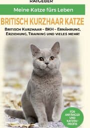 Cover von Britisch Kurzhaar Katze