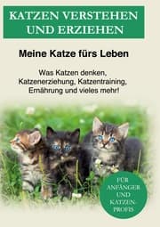Cover von Katzen verstehen und erziehen