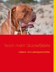 Cover von Noch mehr Glücksf(ä)elle