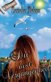 Cover von Du bist Vergangenheit
