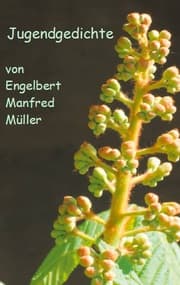 Cover von Jugendgedichte