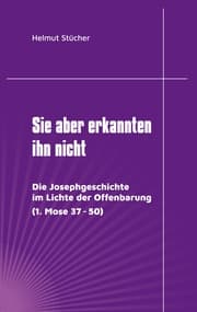 Cover von Sie aber erkannten ihn nicht