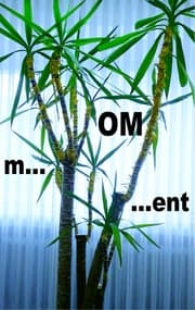Cover von m...OM...ent