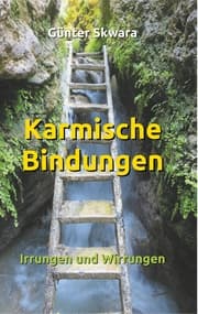 Cover von Karmische Bindungen