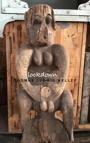 Cover von Lockdown