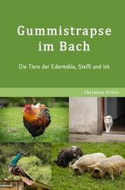 Cover von Gummistrapse im Bach