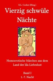 Cover von Vierzig schwüle Nächte (Band I)