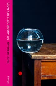 Cover von Die andere Seite des Tages