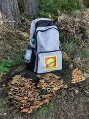 Cover von Ein Wandertag in der Sächsischen Schweiz