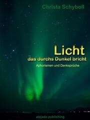 Cover von Licht, das durchs Dunkel bricht