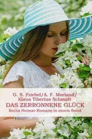 Cover von DAS ZERRONNENE GLÜCK