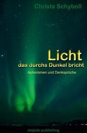 Cover von Licht, das durchs Dunkel bricht