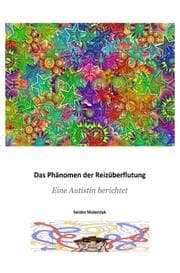 Cover von Das Phänomen der Reizüberflutung