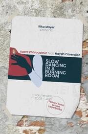 Cover von Slow Dancing In A Burning Room