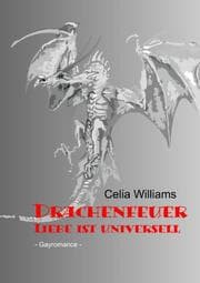 Cover von Drachenfeuer - Liebe ist universell