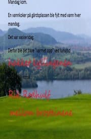 Cover von hakket kyllingene mellom brosteinene