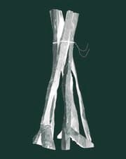 Cover von Georg Baselitz. Sculptures 2011-2015