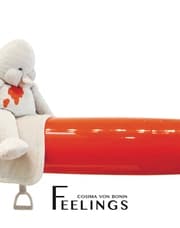 Cover von Cosima von Bonin. feelings