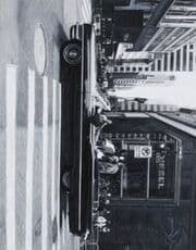 Cover von Rosemarie Trockel (Deutsch)