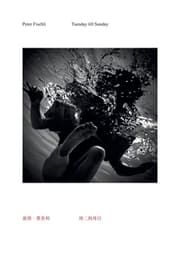 Cover von Peter Fischli. Tuesday till Sunday