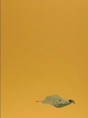 Cover von Yoshihiro Suda. Garden Eden