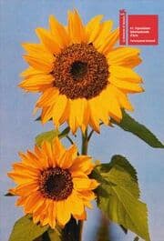 Cover von Oriol Vilanova. Los Restos.