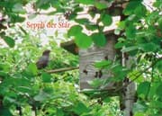 Cover von Seppli der Star