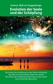 Cover von Evolution der Seele und der Schöpfung