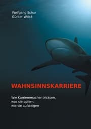Cover von Wahnsinnskarriere