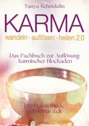 Cover von Karma wandeln-auflösen-heilen 2.0