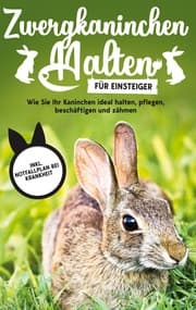 Cover von Zwergkaninchen halten für Einsteiger: Wie Sie Ihr Kaninchen ideal halten, pflegen, beschäftigen und zähmen - inkl. Notfallplan bei Krankheit