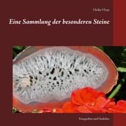 Cover von Eine Sammlung der besonderen Steine
