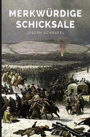 Cover von Merkwürdige Schicksale