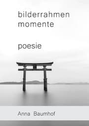 Cover von bilderrahmenmomente