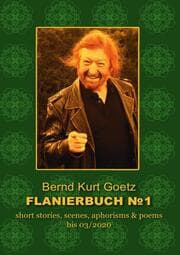 Cover von FLANIERBUCH 1