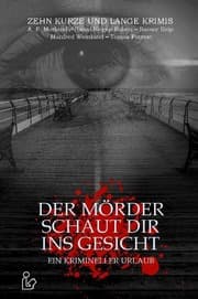 Cover von DER MÖRDER SCHAUT DIR INS GESICHT - EIN KRIMINELLER URLAUB