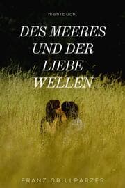 Cover von Des Meeres und der Liebe Wellen