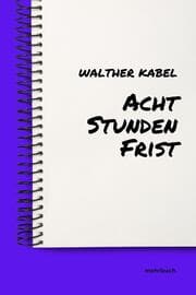Cover von Acht Stunden Frist