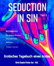 Cover von SEDUCTION in SIN - Teil 3